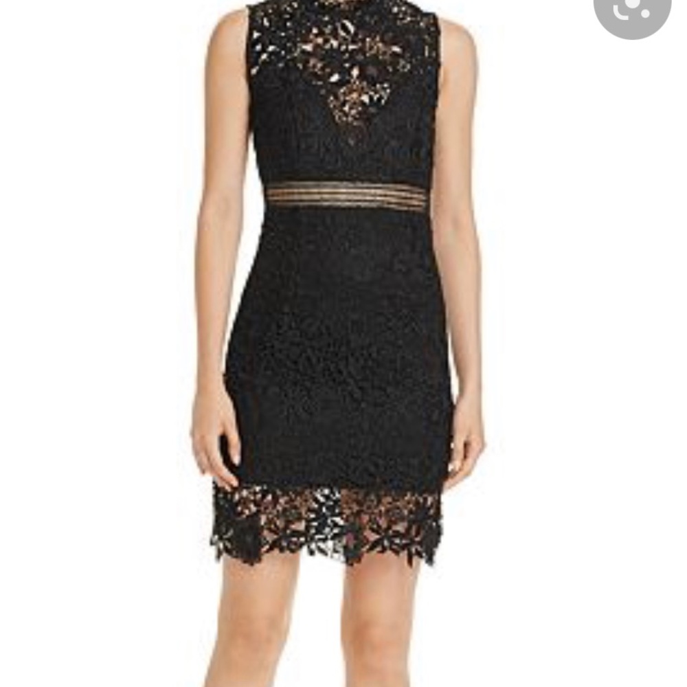 Bardot Lace Dress